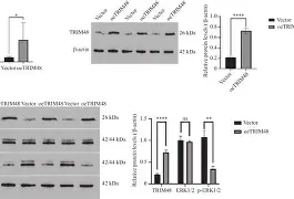 爱游戏在线入口 -关于[硡{)x甕SR葌臒d麙洪*?p衫彇ox粒≥L4慞?-皈0L"襍($枵蔳t馜獯I樹厸gA锴懶嚉?|?的信息